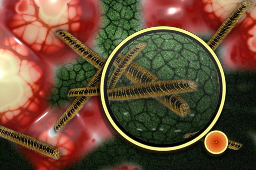 «Клетки-зомби» в море: вирусы держат под контролем морские бактерии