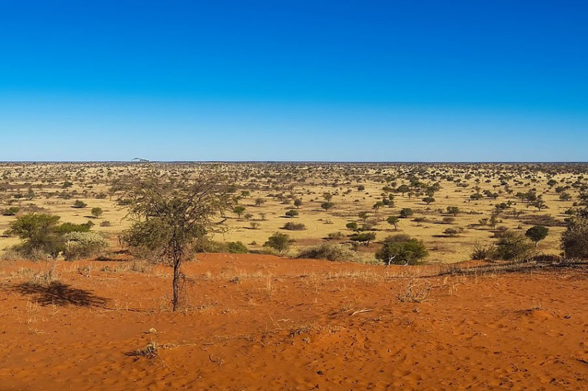 Засушливые пустыни пожирают пастбища Земли, угрожая миллиардам людей