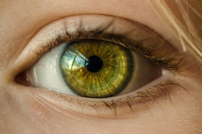 Медики разработали новую методику лечения возрастной потери зрения