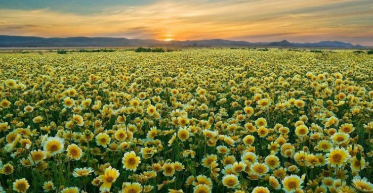 Молитвы к святому Сампсону будут услышаны 10 июля 2024 года