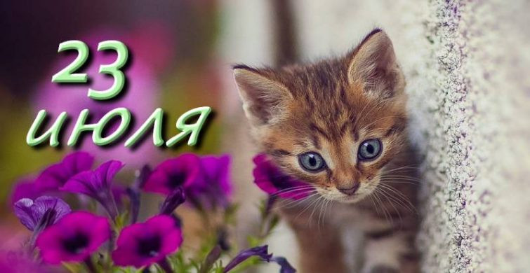 Простые и церковные праздники 23 июля 2024 года