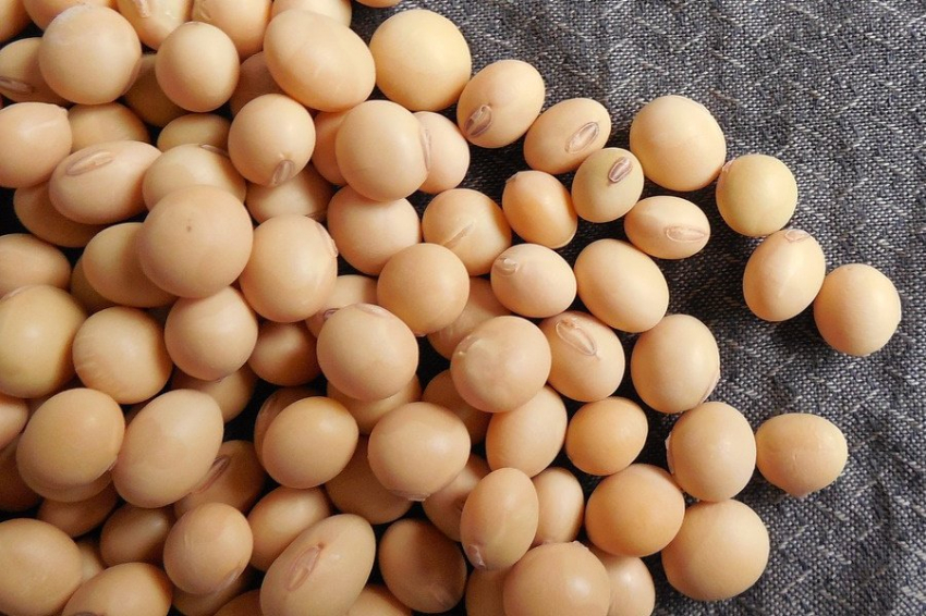 Ученые назвали продукты, улучшающие когнитивные способности детей