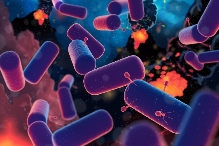 Новое исследование раскрывает тайны одного из древнейших предков жизни