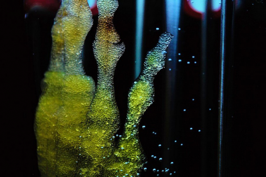 Ученые из Нидерландов создали сложный биоматериал на основе грибов