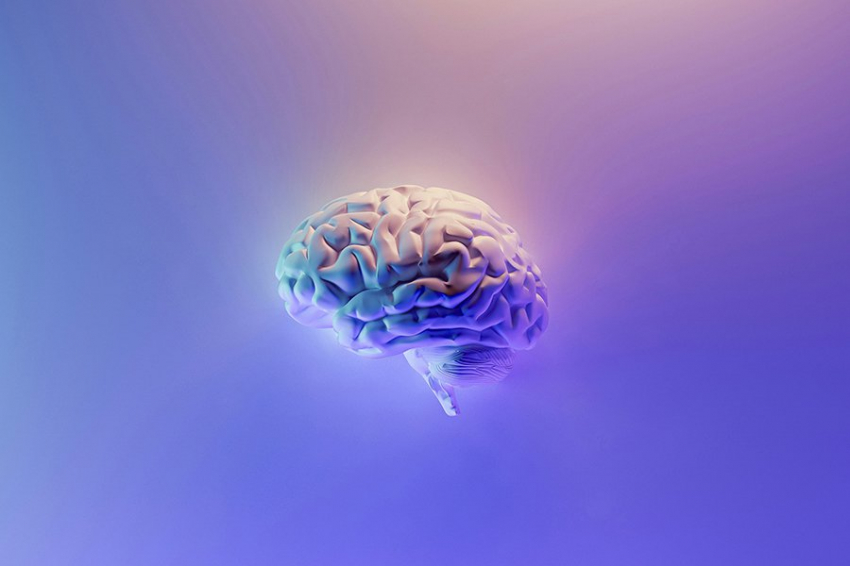 Ученые обнаружили, что «цепь страха» в мозге работает иначе, чем считалось