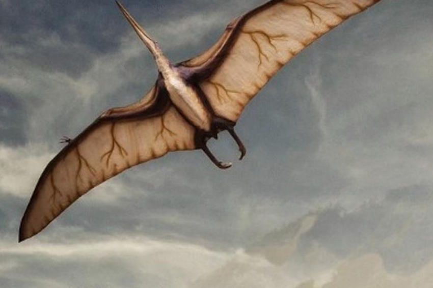 Гигантская доисторическая летающая рептилия взлетела, как летучая мышь