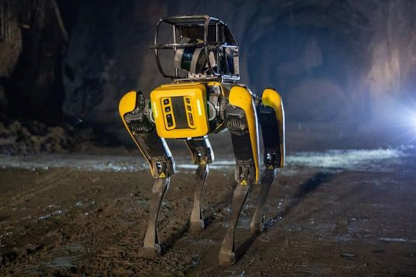 Робопёс уничтожает сорняки без применения гербицидов