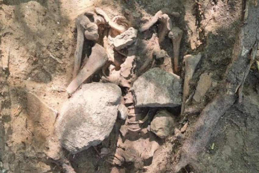 Археология места казни раскрывает жуткие тайны в Саксонии-Анхальт