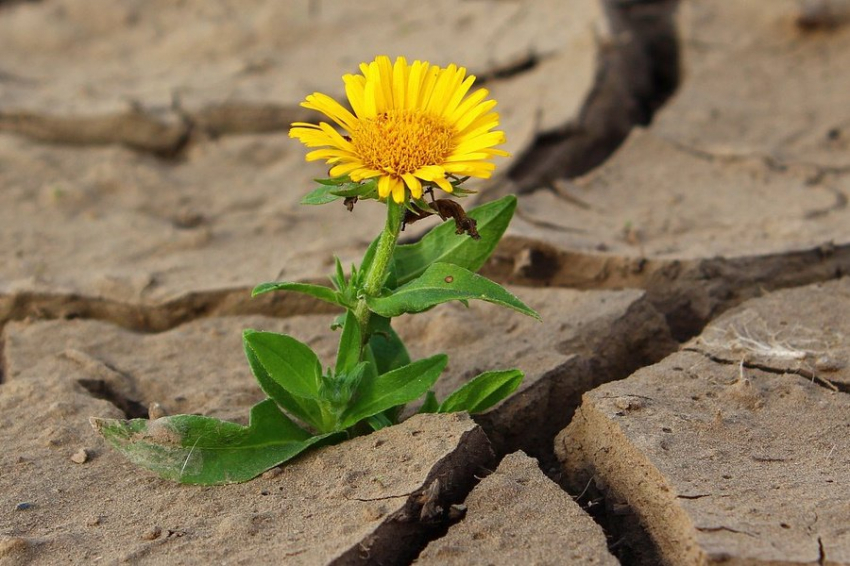 Не жизнь и не смерть: выявлено третье состояние организма