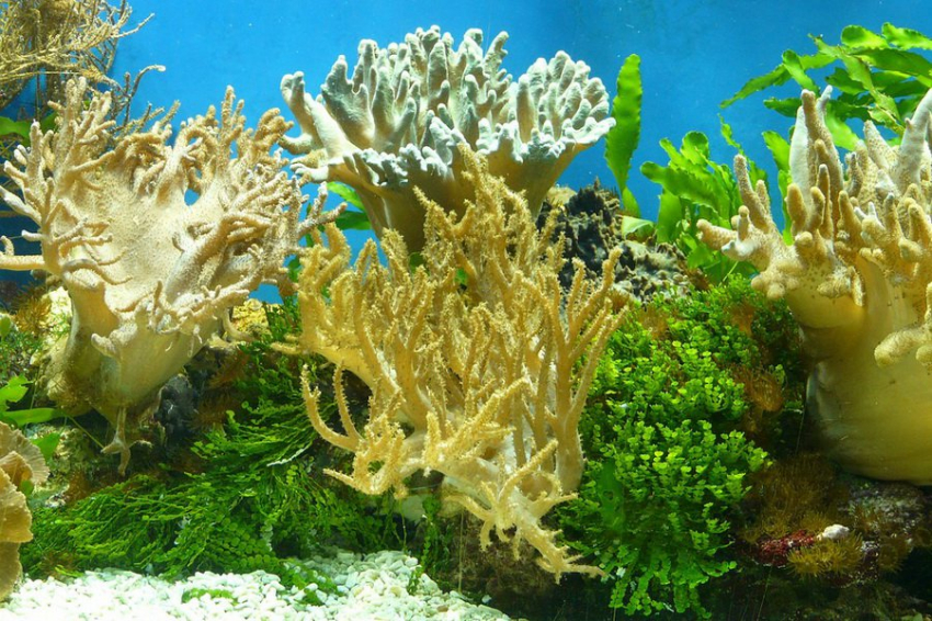 Новое открытие помогло определить путь исчезновения пластика в океанах