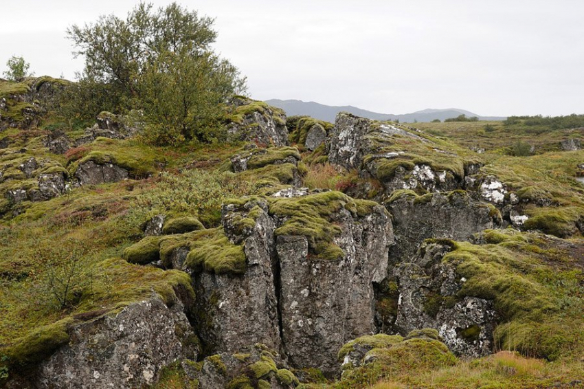 SA: тектоника плит влияет на эволюцию состава верхней мантии