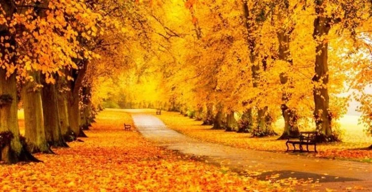 Приметы и поверья на сегодня, 16 ноября 2024 года, предвещают настоящее похолодание