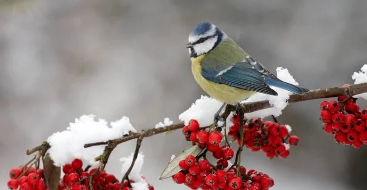 Приметы и поверья на 16 декабря расскажут, почему лучше молчать в День Иоанна Молчальника
