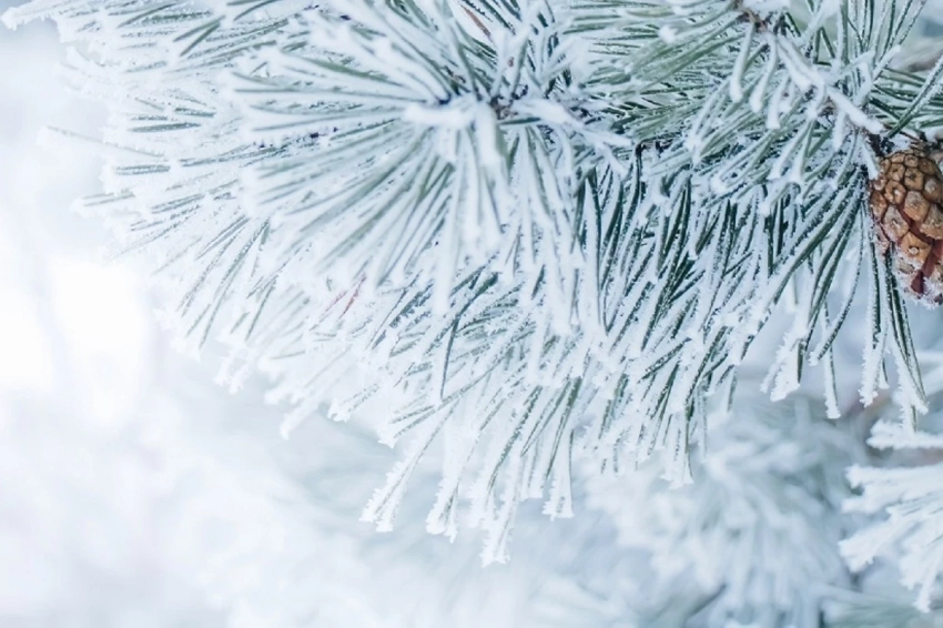 «Комсомолка» рассказала, где ChatGPT посоветовал россиянам встречать новогоднюю ночь