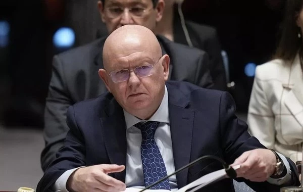 Небензя: Германия и Япония не получат места постоянных членов Совбеза ООН