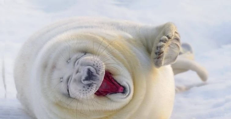 Какой сегодня праздник: 7 февраля отмечается несколько праздников, какой церковный праздник сегодня, 07.02.2025