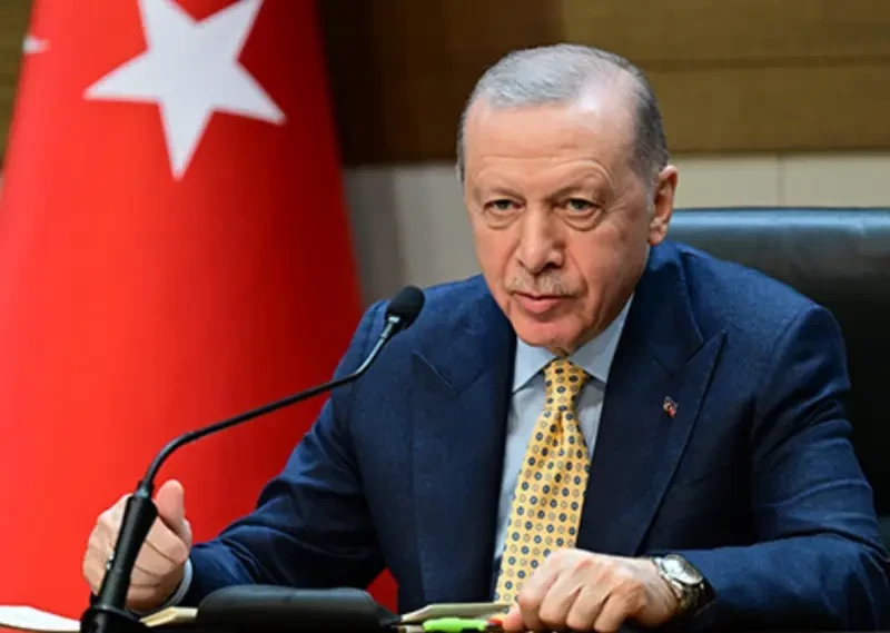 «Попытки взбить воду в ступе»: Эрдоган назвал абсурдом намерения Трампа очистить сектор Газа от палестинцев