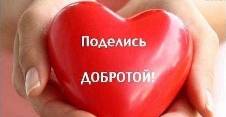 День спонтанного проявления доброты отмечают во всем мире 17 февраля 2025 года