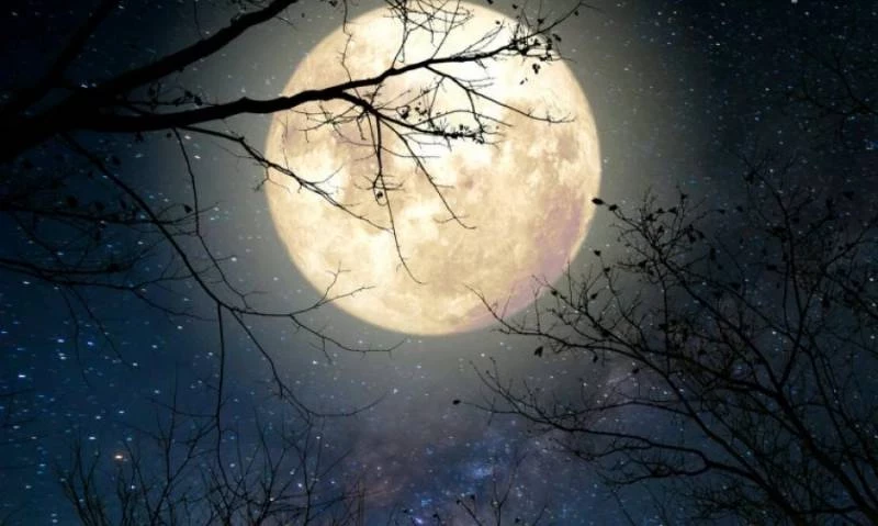 Приметы и поверья на сегодня 18 февраля 2025 года: что обязательно нужно сделать, чтобы защитить себя от негатива