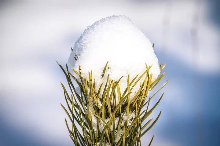 Какой сегодня, 25 февраля 2025 года, церковный праздник: память Алексия Московского чтят в России