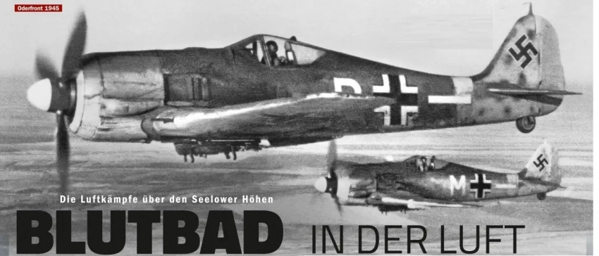 «Кровавая баня». Воздушное сражение над Зееловскими высотами
