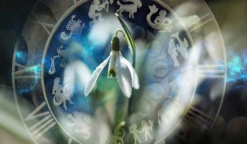 Размеренный ритм: гороскоп на неделю с 9 по 15 марта 2026 года